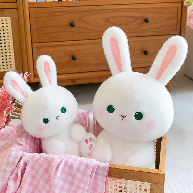 Cabbage Rabbit