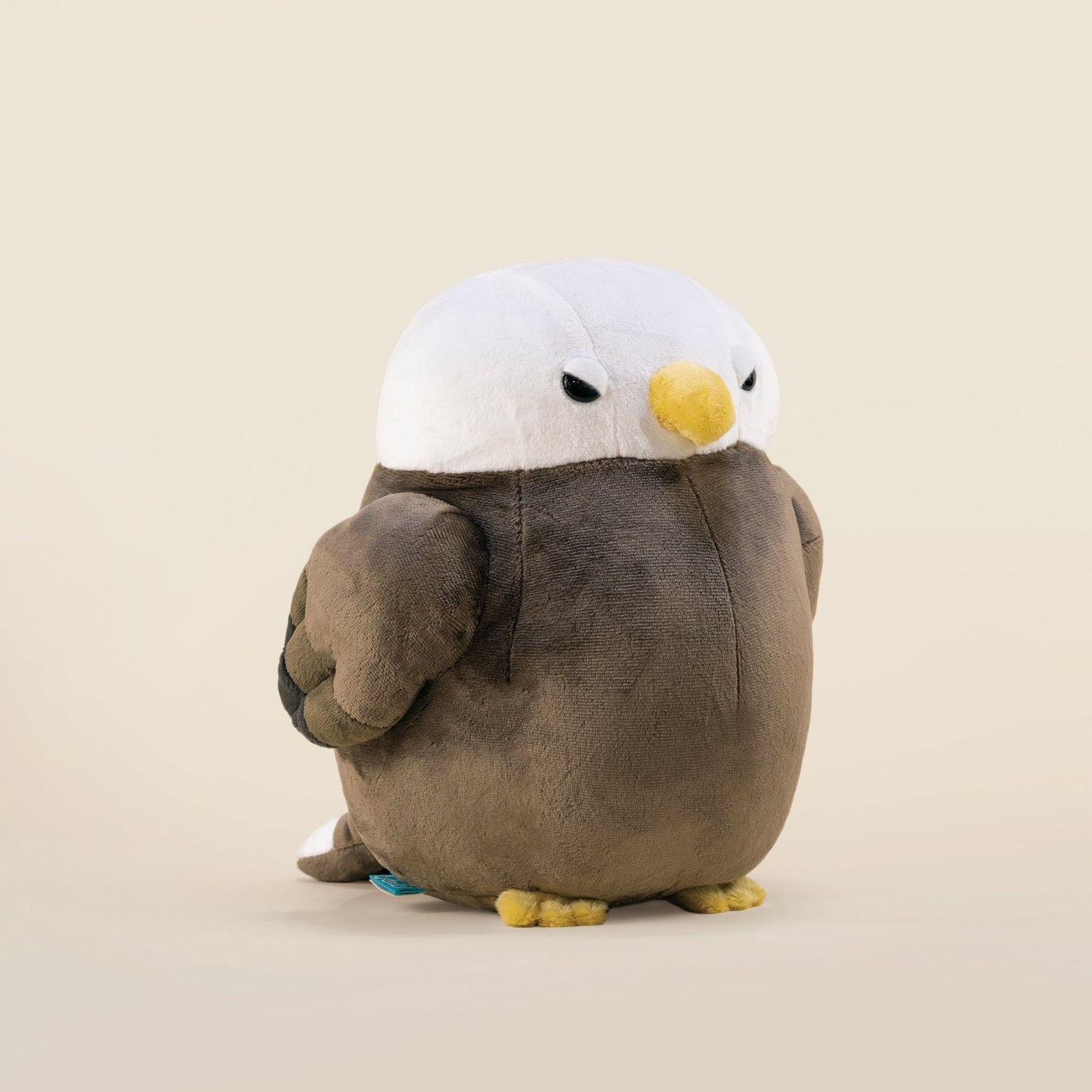 Baldi the Bald Eagle