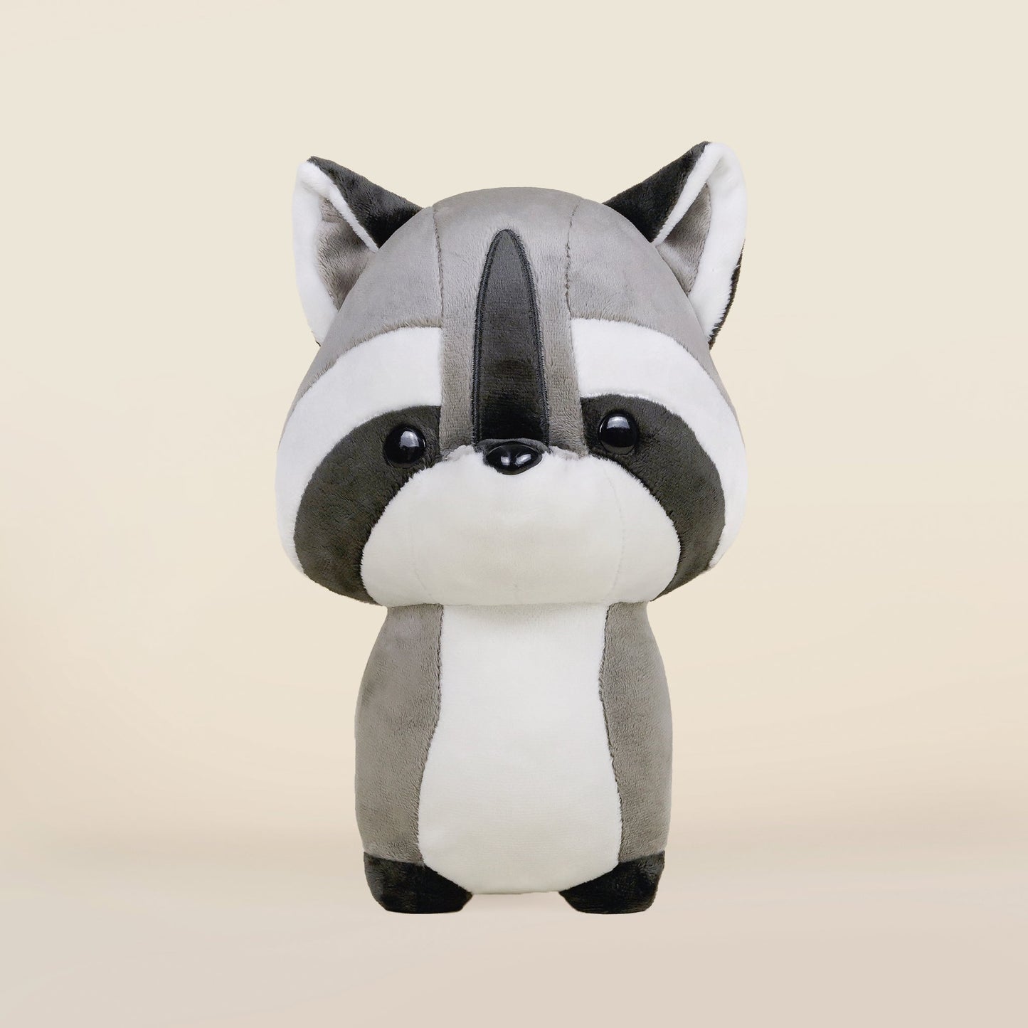 Raccooni the Raccoon