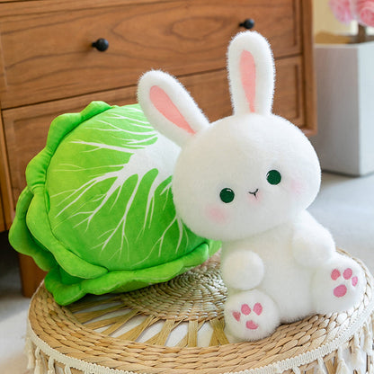 Cabbage Rabbit