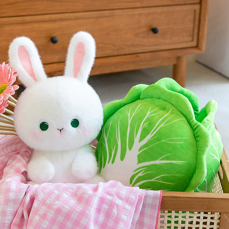 Cabbage Rabbit