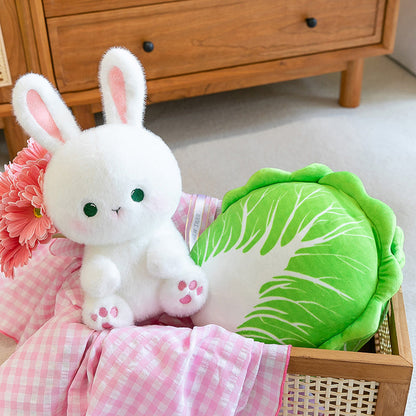 Cabbage Rabbit