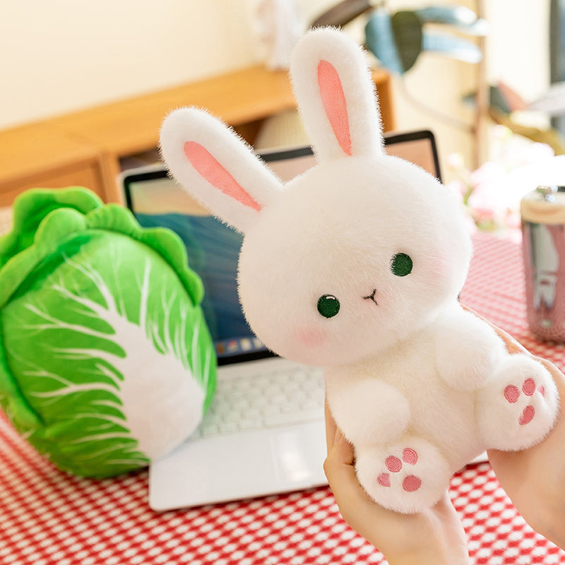 Cabbage Rabbit
