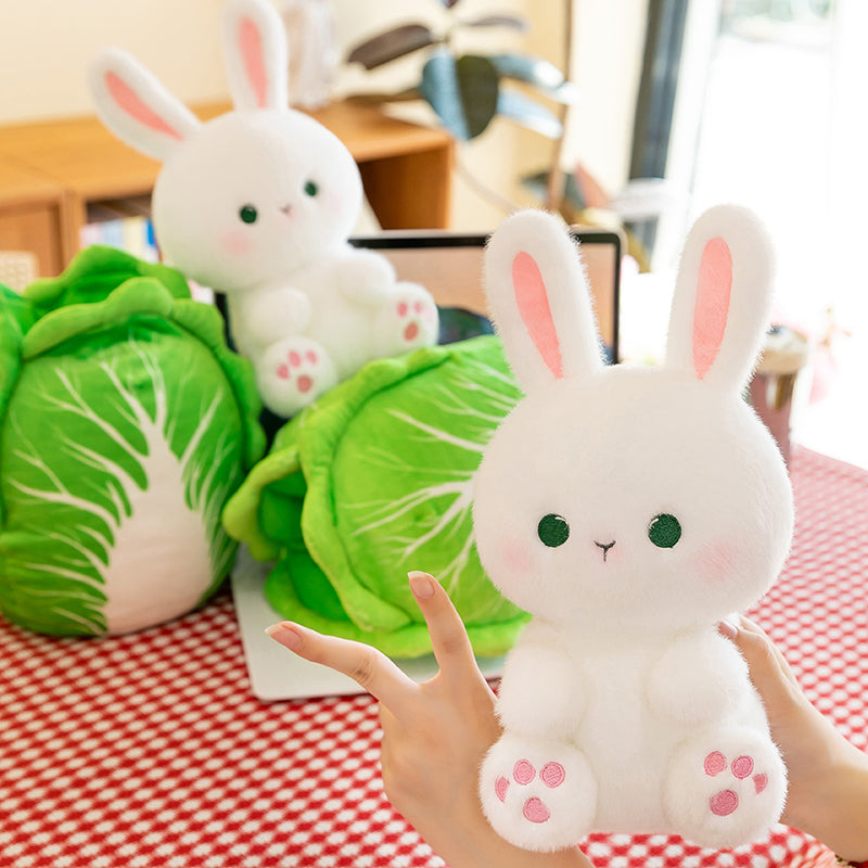 Cabbage Rabbit