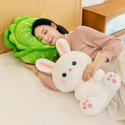 Cabbage Rabbit