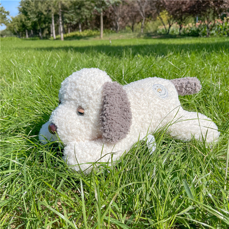 Puff Dog