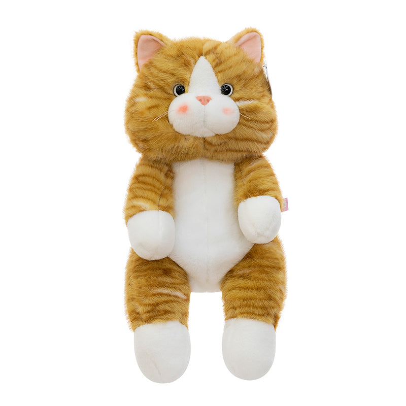 Orange Juice Cat
