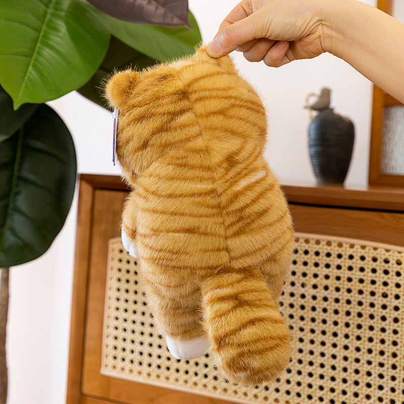 Orange Juice Cat
