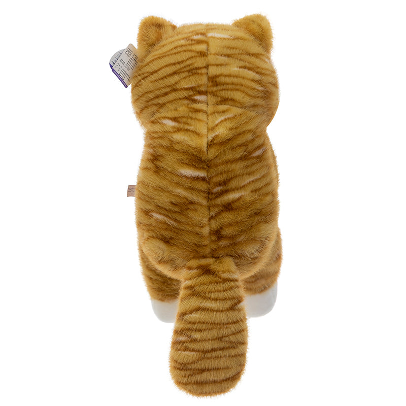 Orange Juice Cat