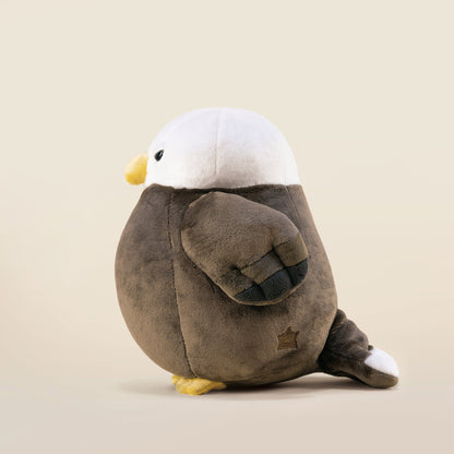 Baldi the Bald Eagle