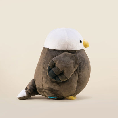Baldi the Bald Eagle