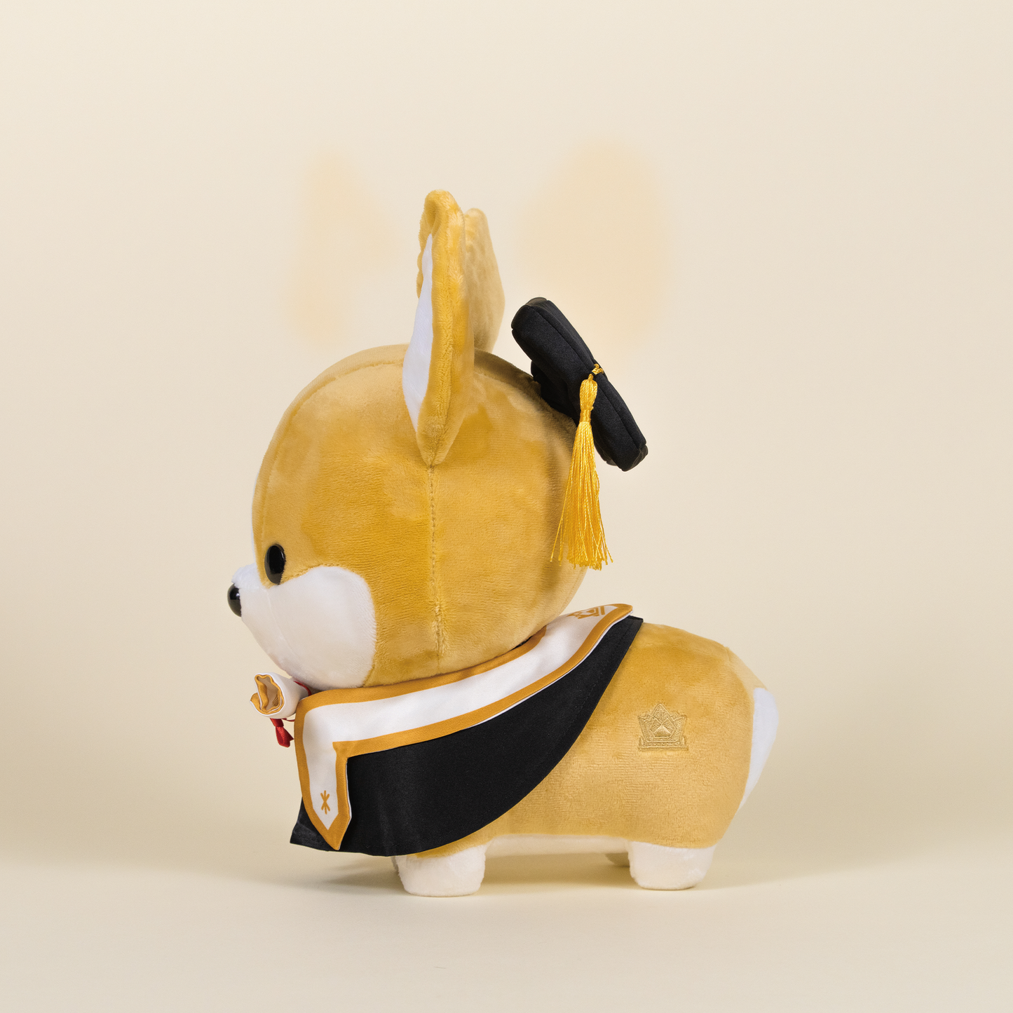 Graduation Corgi