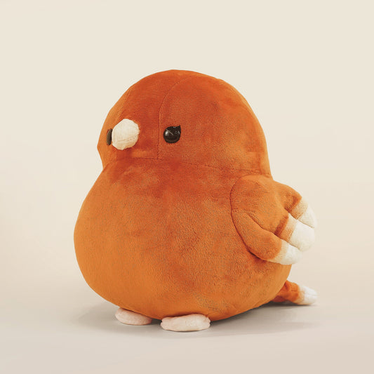 Canari the Canary