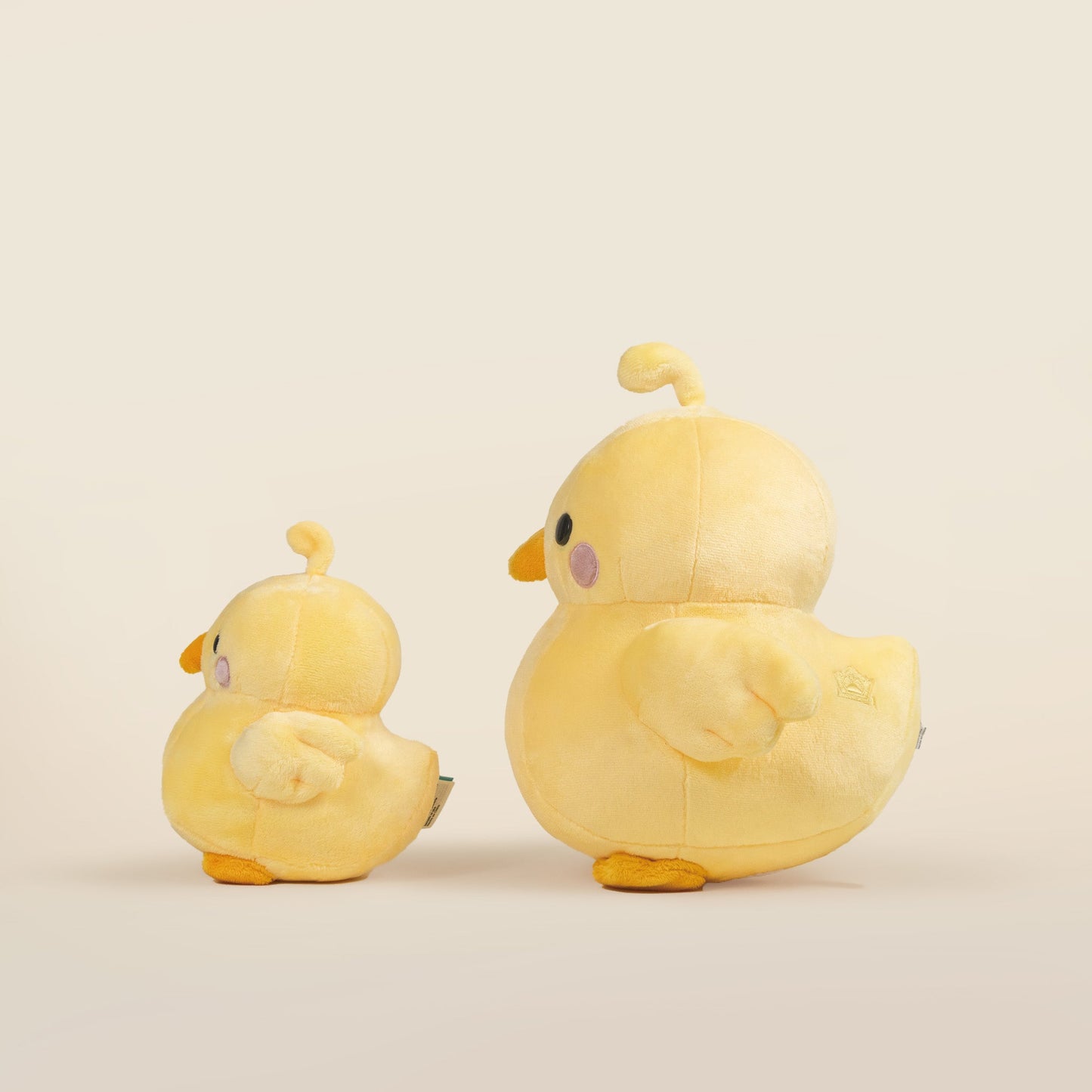 Chicki the Chick