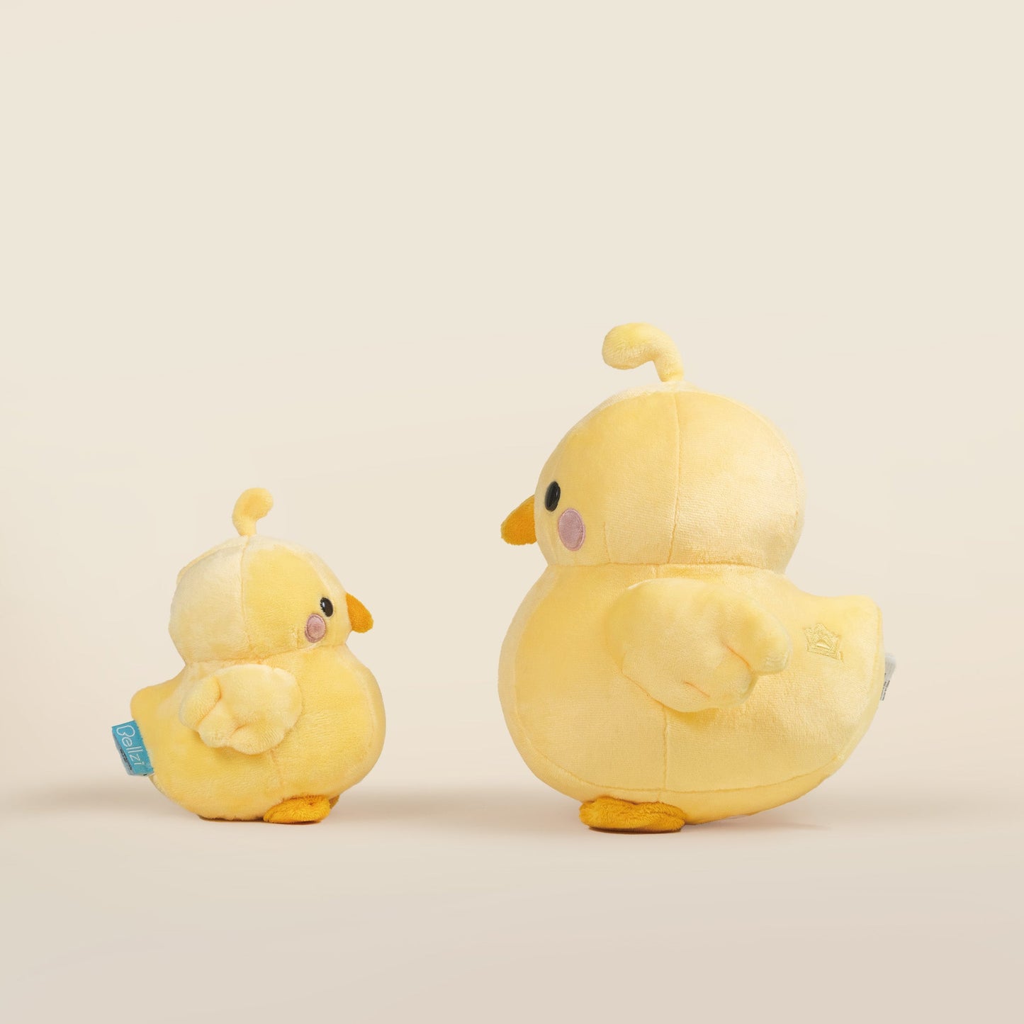 Mini Chicki the Chick