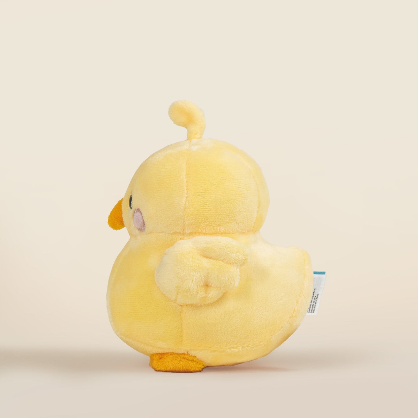 Mini Chicki the Chick