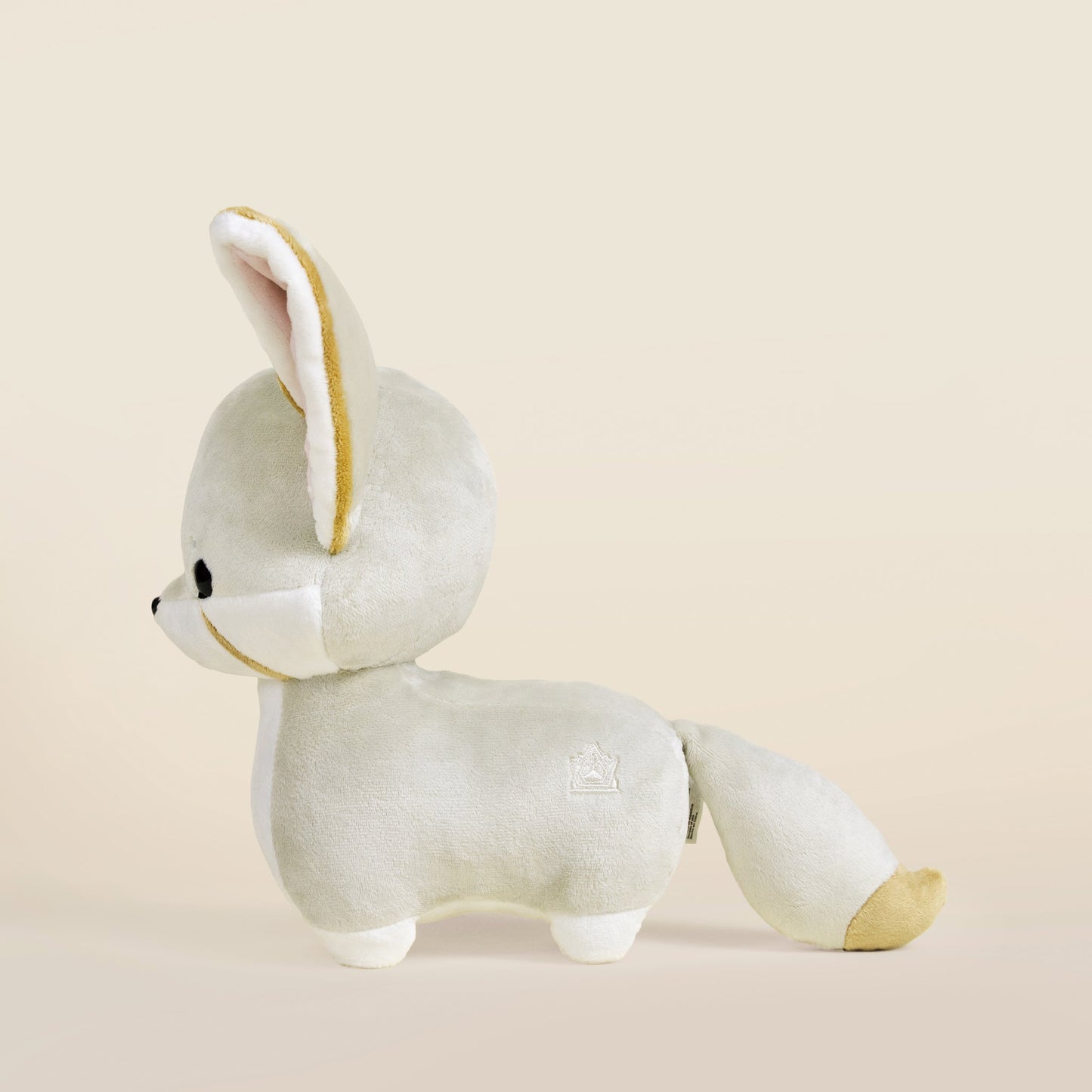 Fenni the Fennec Fox