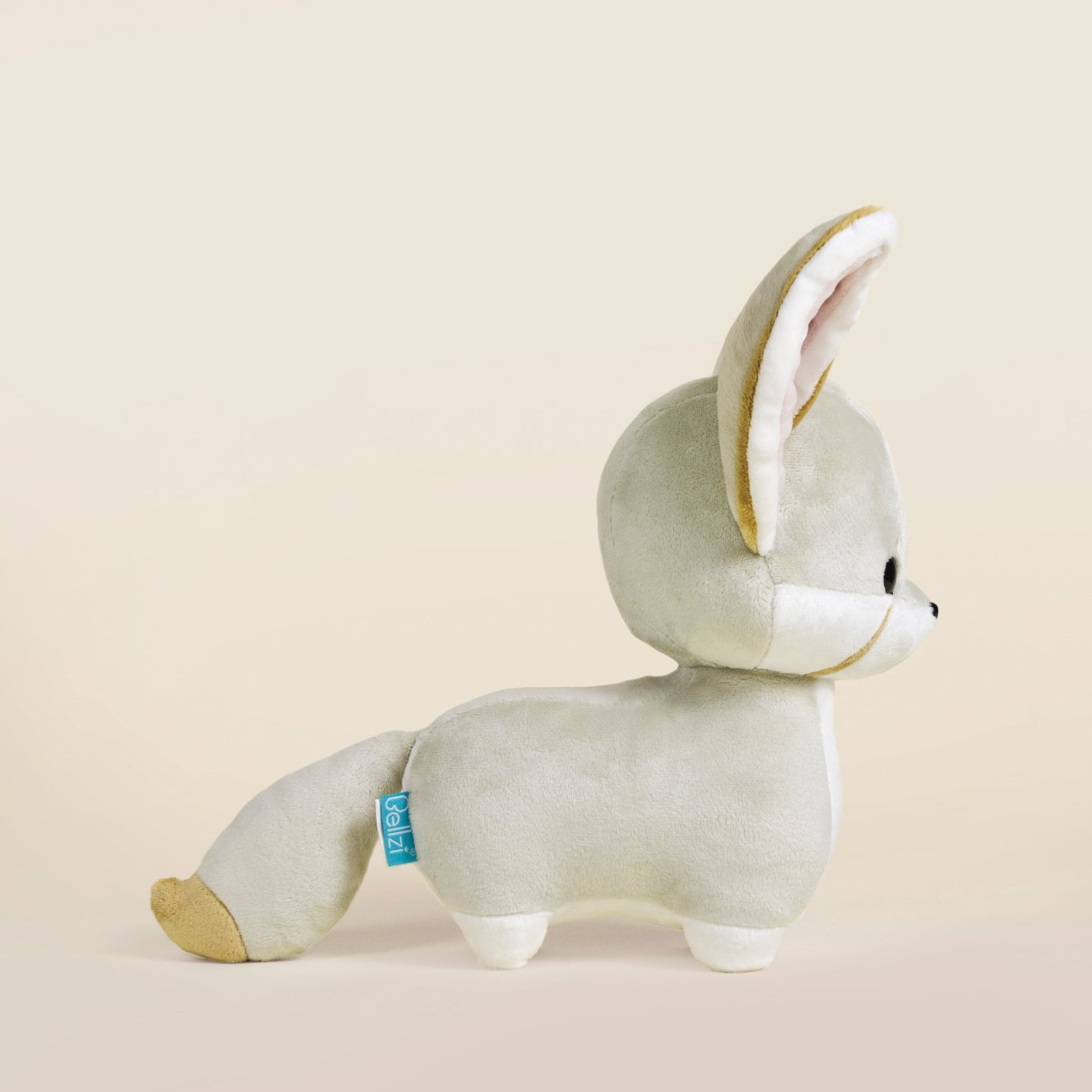 Fenni the Fennec Fox