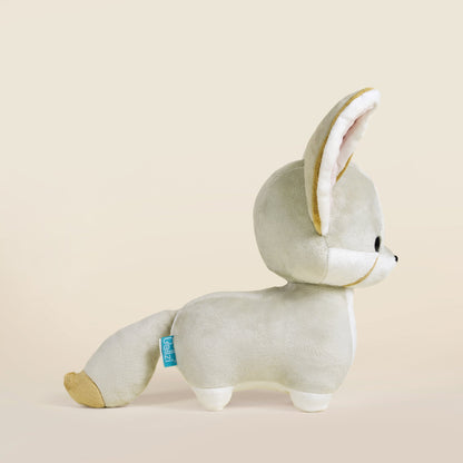 Fenni the Fennec Fox