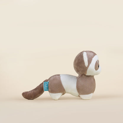 Mini Ferri the Ferret