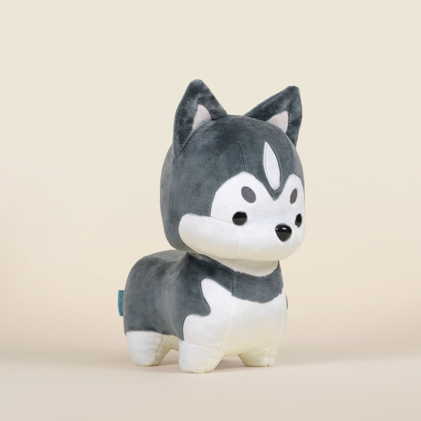 Huski the Siberian Husky