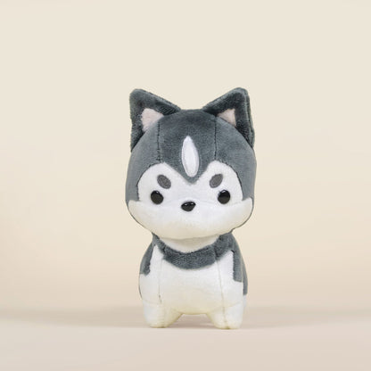 Mini Huski the Siberian Husky