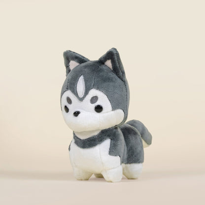 Mini Huski the Siberian Husky
