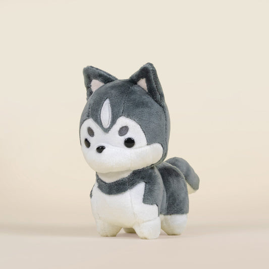 Mini Huski the Siberian Husky