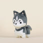 Mini Huski the Siberian Husky