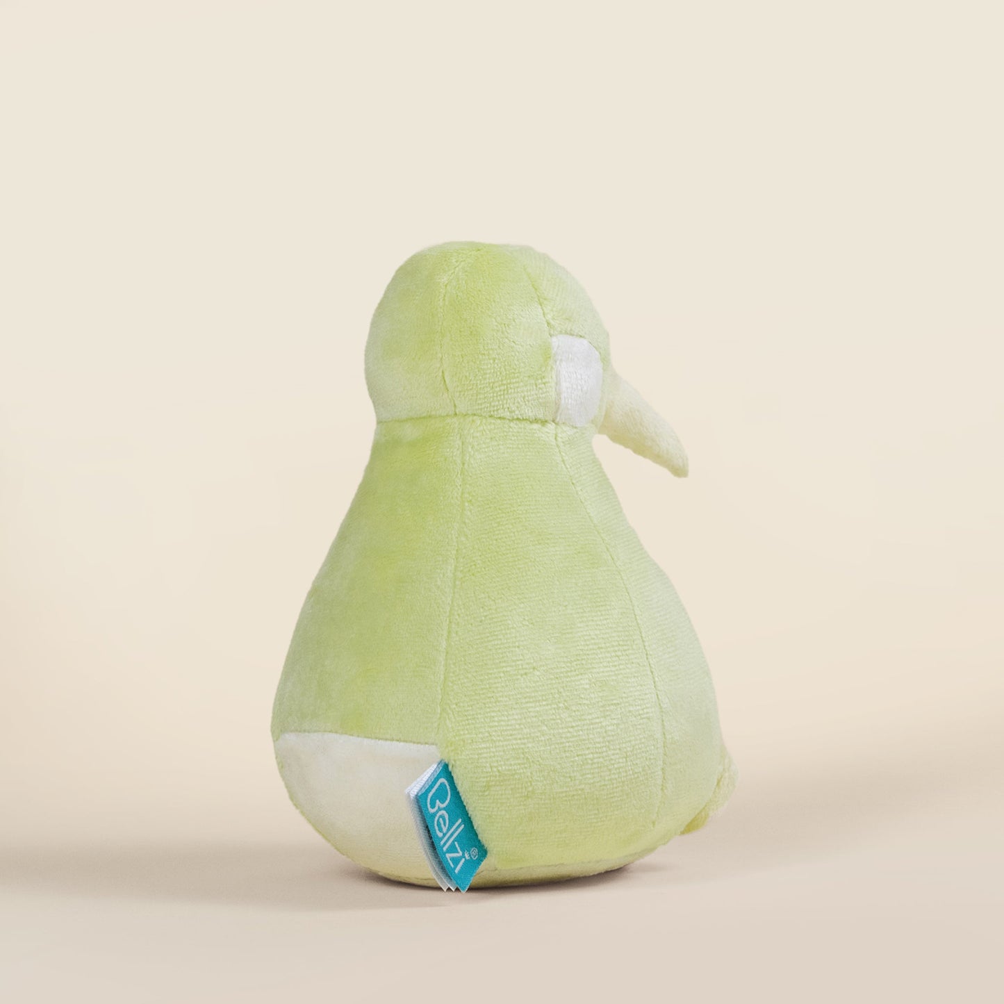 Mini Kii the Kiwi