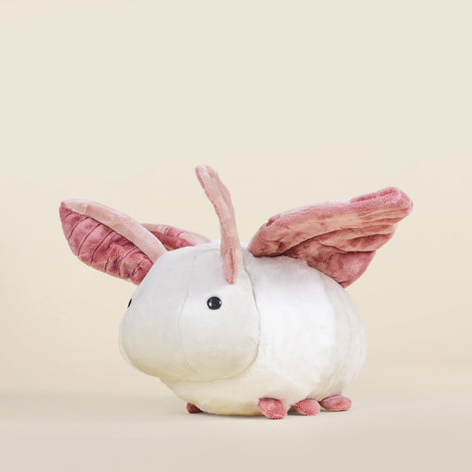 Mothi the Moth