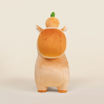 Orange Cappi the Capybara