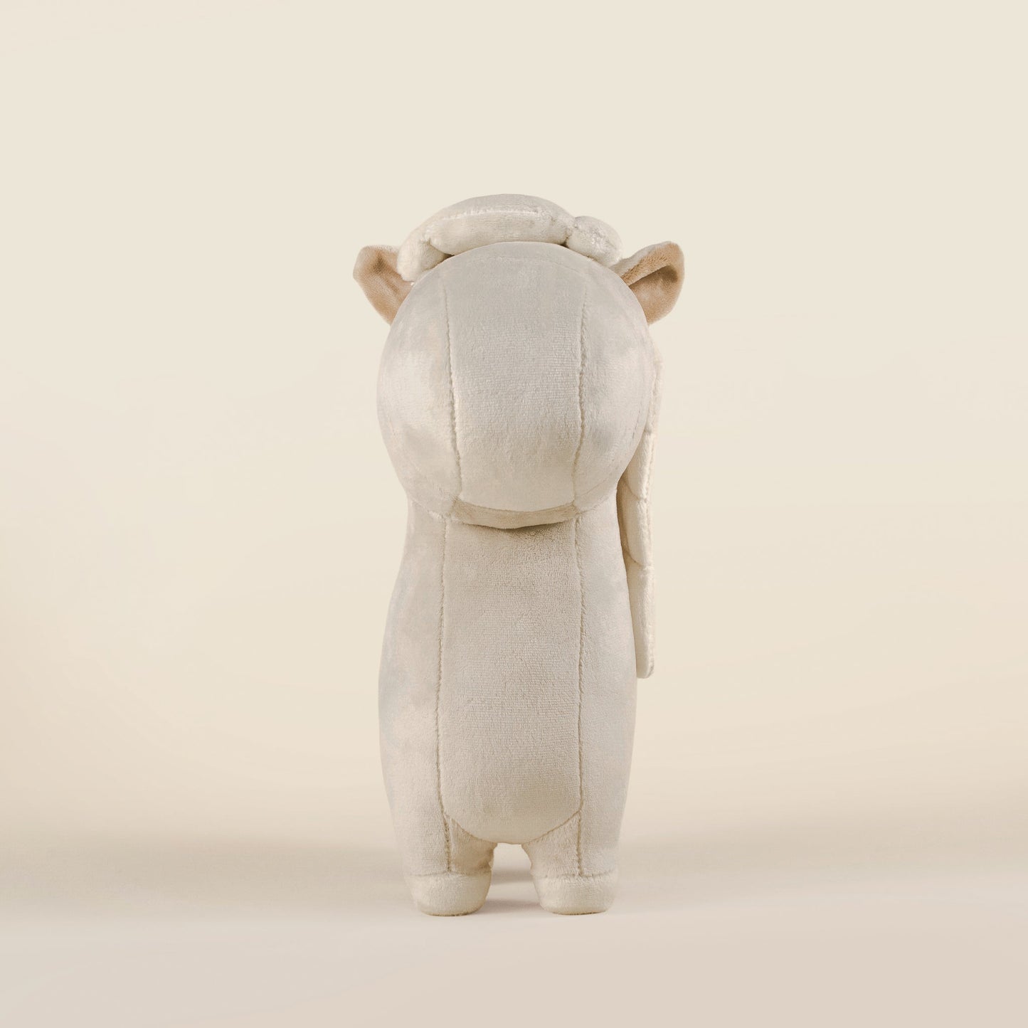 Palomino the Horsi