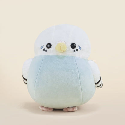 Paraki the Parakeet