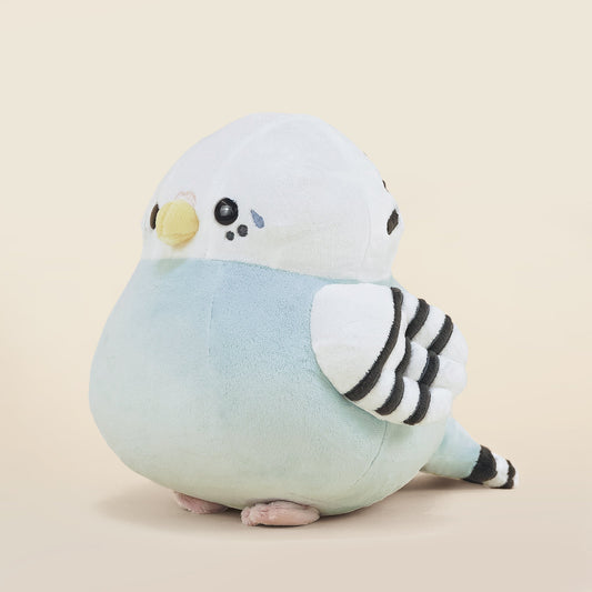 Paraki the Parakeet