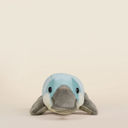 Mini Plati the Platypus