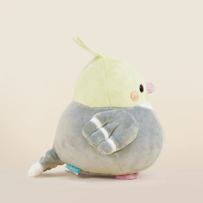 Tilli the Cockatiel