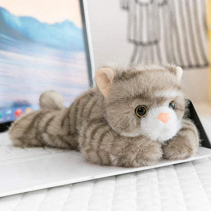 Pocket Animal Series