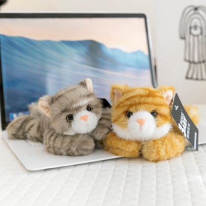 Pocket Animal Series