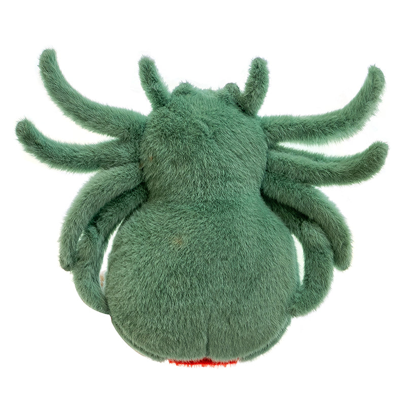 Red Tailed Spider