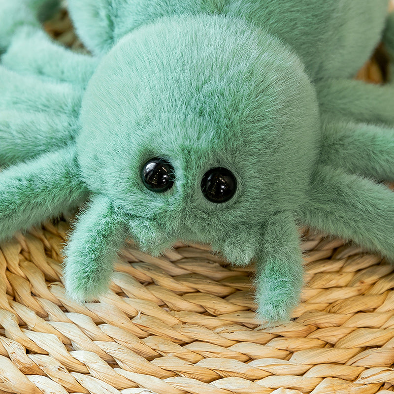 Red Tailed Spider