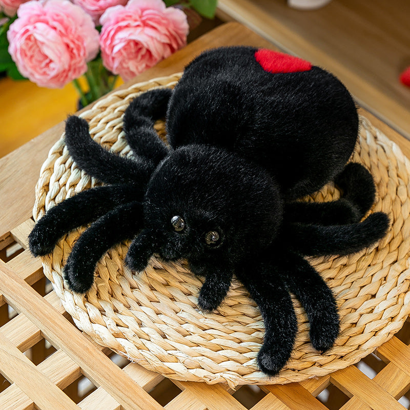 Red Tailed Spider