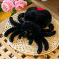 Red Tailed Spider