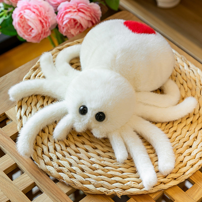 Red Tailed Spider