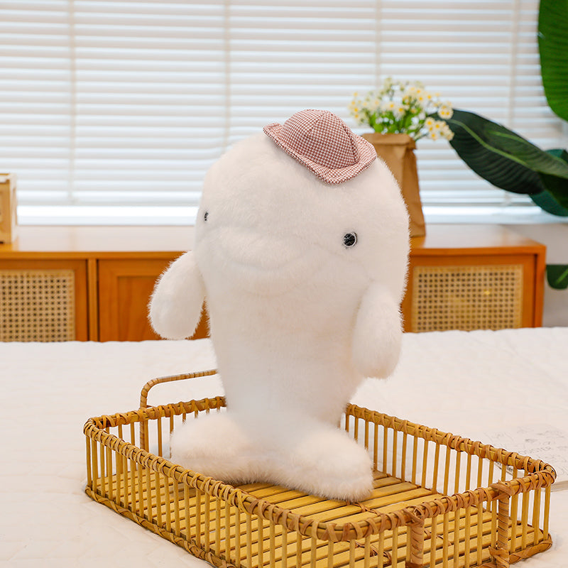 Summer Dolphin