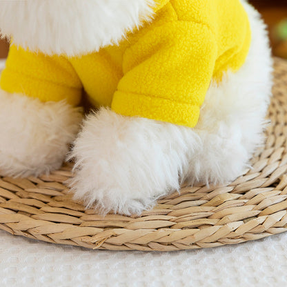 West Highland White Terrier With Hoodie