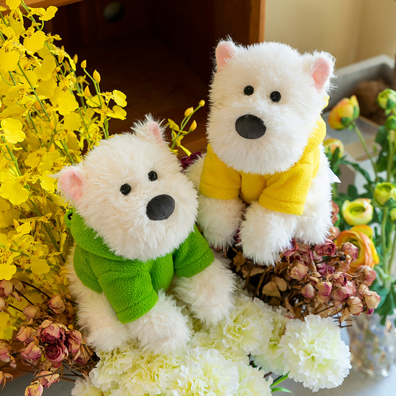 West Highland White Terrier With Hoodie